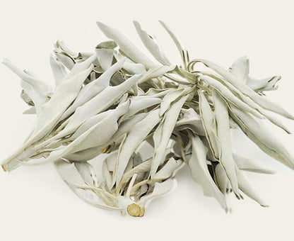 White Sage Pure Leaf Large Bundle Purifying Space Crystal