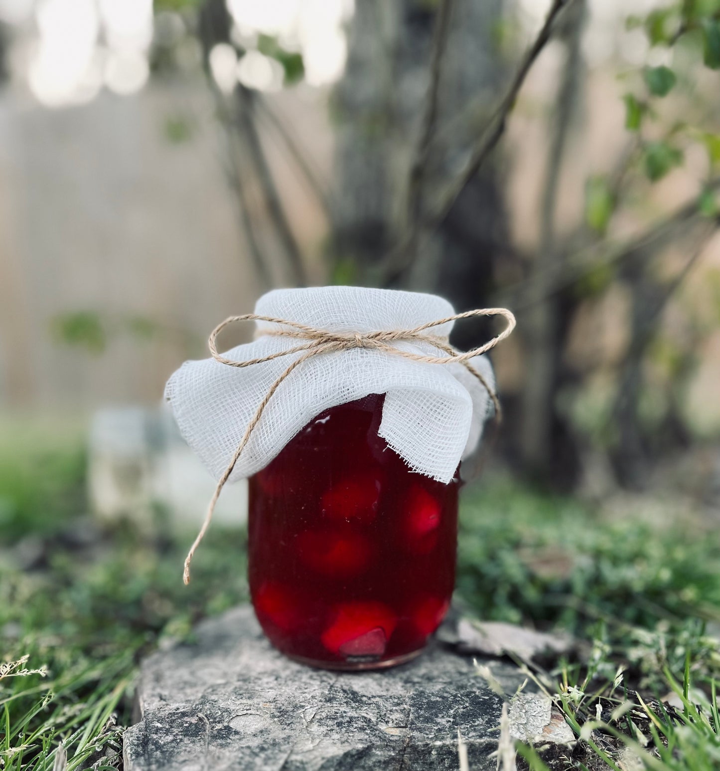 Cherry Preserves Scented Gel Candle